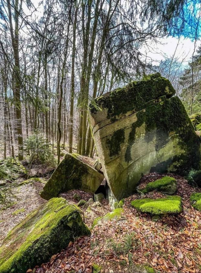 Blick Punkt Apartman Tann  Kültér fotó